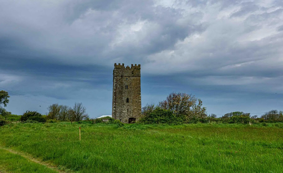 Ballyhealy Castle Wexford, Ireland